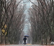 [오늘의 날씨]대전·충남(21일, 목)..기온 오르고 비 최대 20mm