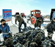 '퇴비전투' 나선 북한..올해 농사 준비로 분주