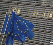 EU "바이든 파리기후협약 재가입 결정 환영"