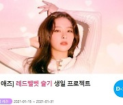 "해피슬기데이"..레드벨벳 슬기, 생일 서포트 돌입