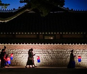 지난해 조선 궁궐·왕릉 비대면 콘텐츠 조회수 310만여회 기록