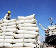 베트남 쌀 수출 경쟁력 상승..고급미(米), 고가격 전략 주효 [KVINA]