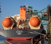 Posco's LNG-powered bulk carrier successfully finishes first trip