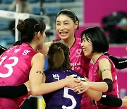 Pink Spiders super squad could break V-League wins record