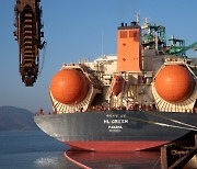 Posco receives first shipment delivered by LNG carrier