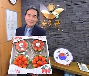 순창군조합공동사업법인, '온라인 마케팅 1호' 새벽 딸기 당일 배송