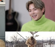 '나 혼자 산다' 박은석, 탁 트인 양평하우스 최초 공개..로망 가득 전원생활