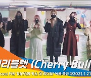 체리블렛(Cherry Bullet), 캔디보다 초콜릿보다 더 달콤한 매력(키스더라디오)[뉴스엔TV]