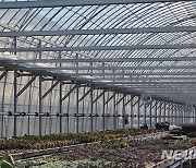 용인시, 화훼농가 경영안정 위해 41억5700만원 투입