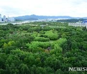 대전시, 2050년 순탄소배출량 제로화 선언..'산소 도시' 비전