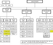 금감원 조직 개편 ①소비자 보호 ②디지털 금융 방점