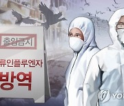 이천 산란계 농장서 고병원성 AI 의심사례 발생