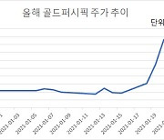 '롤러코스터' 골드퍼시픽, CB 재매각 프리미엄도 '눈길'