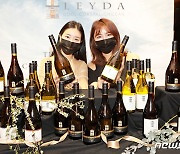 레이다(LEYDA)와인, 떠오르는 칠레 생산지 레이다밸리를 담다
