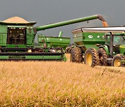 미국 등 5개국 수입 쌀 관세 513% 확정..국내 쌀 시장 방어