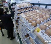 고병원성 AI에 미국산 달걀 60톤 26일부터 공매