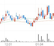 대한광통신, +2.93% 상승폭 확대