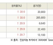 [fnRASSI]오늘의 상한가, 두산퓨얼셀1우 30.0% ↑