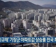 '비규제' 기장군 아파트값 상승률 전국 최고