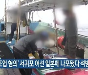 '불법조업 혐의' 서귀포 어선 일본에 나포됐다 석방