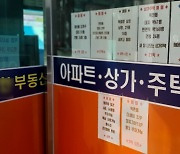 집값 뛰자 늘어난 부동산 중개업소..국민은 중개수수료에 '허덕'
