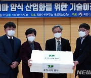 수과원, 강원도 특산 용다시마 인공종자 대량생산 성공