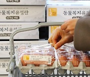 고병원성 AI에 달걀 판매제한.."수급 부족은 아냐"