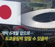 [영상구성] 개막 6개월 앞으로..도쿄올림픽 열릴 수 있을까