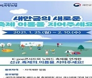 '케이팝 스타'와 함께하는 새만금 노마드 축제