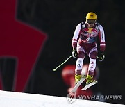 AUSTRIA ALPINE SKIING WORLD CUP