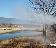 "주말 비오고 기온 오른다"..고병원성 AI 차단 '분수령'