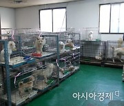 강원도, '동물학대 엄중 처분'.. 시·군 합동 긴급 점검