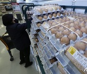 미국산 흰달걀 60t 들어온다..aT, 공매 입찰 거쳐 판매