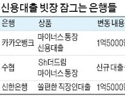 카카오뱅크도 신용대출 한도 축소