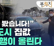 "자율주행이 집값 끌어올린다"..3기신도시 '주목'[부릿지]