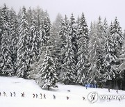 Italy Biathlon World Cup