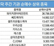 코스닥 주간 기관 순매수 1위 '와이지엔터테인먼트'