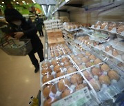 한달새 달걀·닭고기 가격 12% 급등, 쌀값도 고공행진