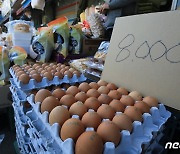 '계란 한 판에 8천원'