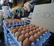 한판에 6700원 '금달걀' 파동..미국산 A등급이 잠재을까