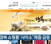 경북 쇼핑몰 '사이소' 매출 급증