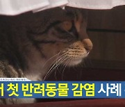 [뉴스9 헤드라인]