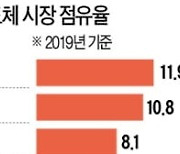 "반도체값 20% 올리겠다"..車업계 '울상'