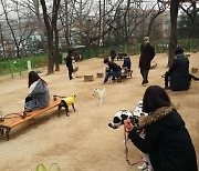 "고양이에 이어 확진자 반려견도 코로나19 감염"