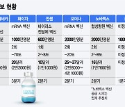 국내 첫 백신접종 누구부터..28일 접종계획 발표