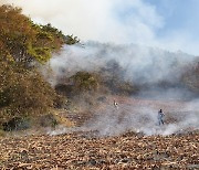 횡성서 농업폐기물 태우다 불..논밭 피해