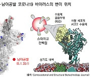 "영국발 코로나19 변이 바이러스 감염자, 사망 위험 1.3배↑"