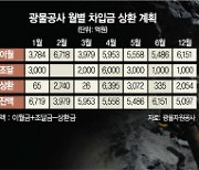 광물公 또 '파산 악몽'.."해외자산 매각, 정답 아니다"