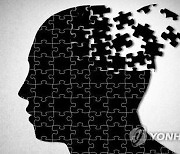 '알츠하이머 예방약' 임상시험 내달 일본서 시작