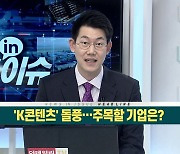 'K팝' 이어 'K콘텐츠' 돌풍..주목할 기업은?